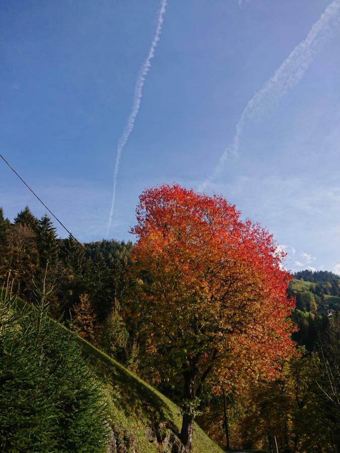 Apart Pfister Aschau Im Zillertal Exterior photo